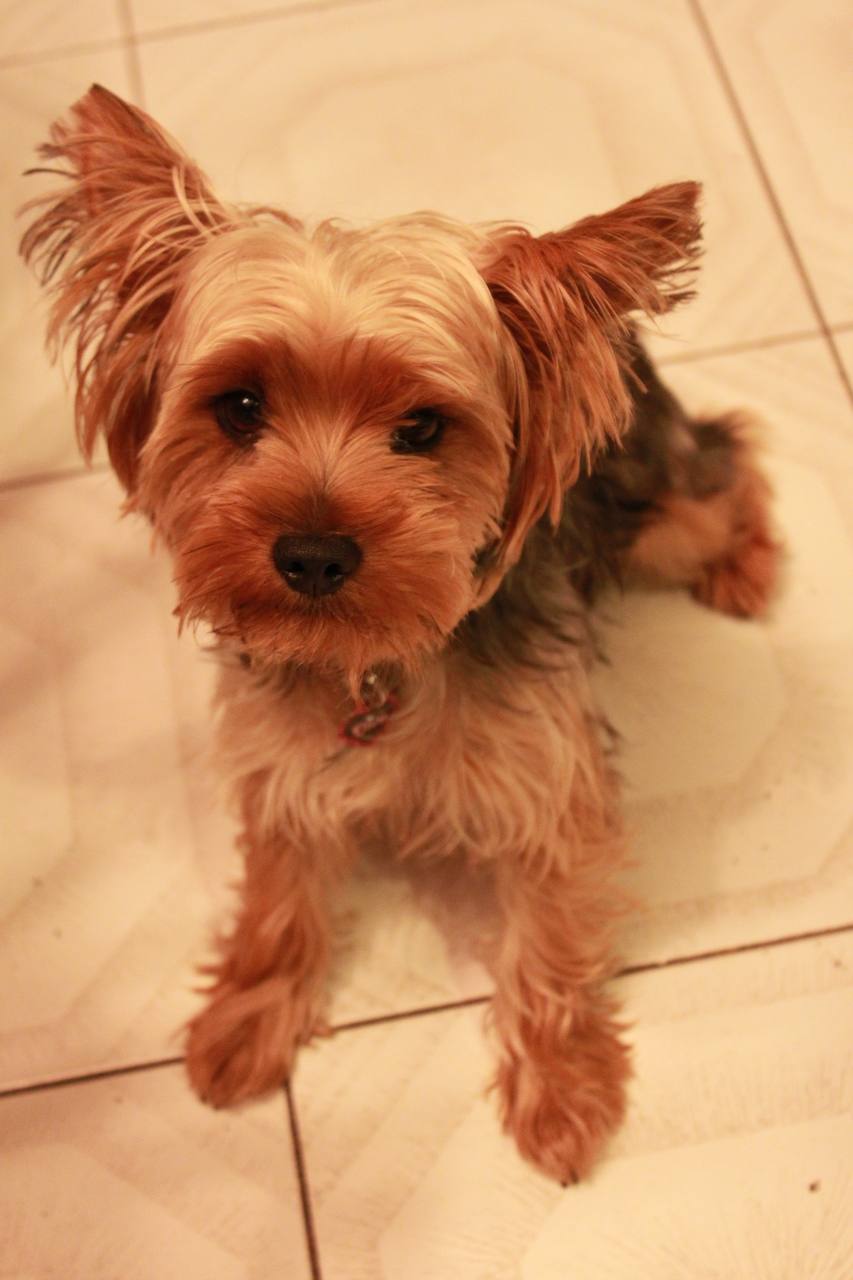 Chloe